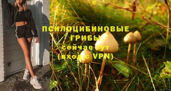 герыч Елабуга