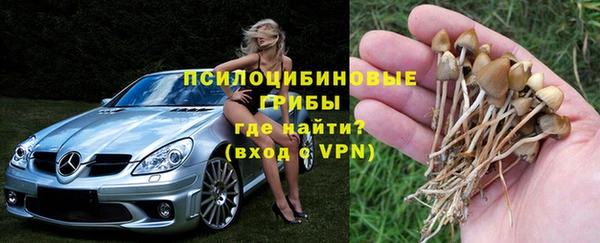 каннабис Ельня