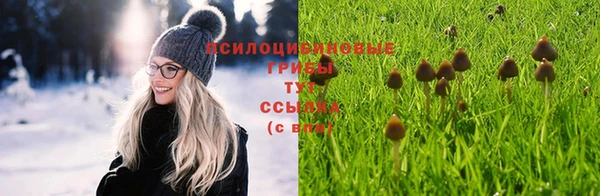 каннабис Ельня